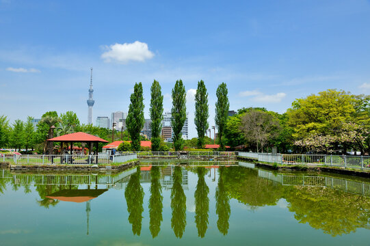Sarueonshi park and Sky Tree, Japan,Tokyo,Koto, Tokyo