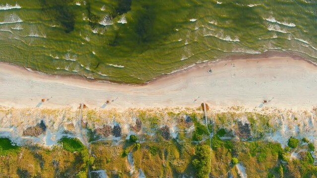Aerial top-down view of beautiful sandy Curonian Spit beaches, Baltic sea shore