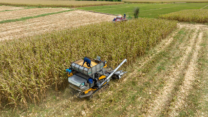 Farm machines harvesting corn. The entire corn plant is used, no waste. Agricultural machines working in farmland during harvesting corn. Smart farmer harvest. Combine harvester pours corn