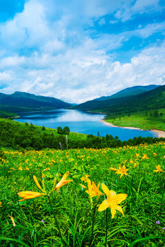 Lake Notan and Nikkoukisuge, Japan,Gunma prefecture,Agatsuma District, Gunma,Nakanojo, Gunma
