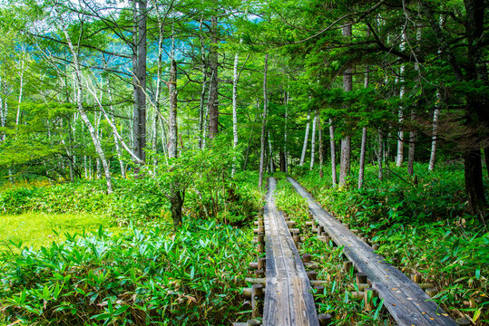 Hiking Course, Japan,Nagano Prefecture,Kamikochi