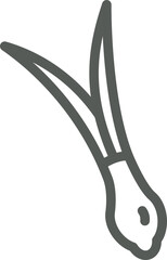 Garlic Leaves Outline