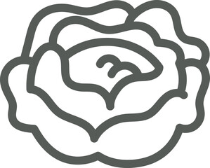 Cabbage Outline