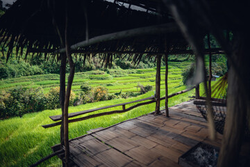 Rice fields and wooden hut balcony