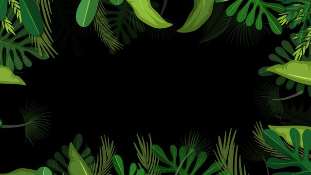 Tropical forest leaves forming a border on a black background.