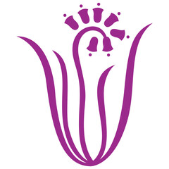 purple flowers