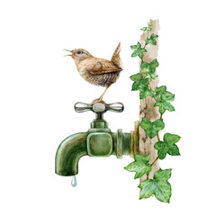 Garden bird came for a drink on a vintage style metal water tap. Watercolor illustration. Hand...