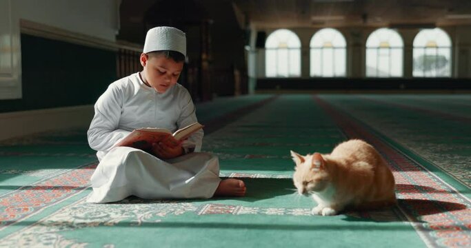 Quran, islamic and child in a mosque for praying, peace and spiritual care in holy religion for Allah. Reading book, Ramadan or Muslim kid with a cat animal, hope or gratitude to study or worship God