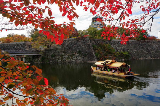 Autumn leaves of Osaka Castle, Japan,Osaka Prefecture,Osaka,Chuo-ku