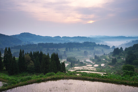 Hoshitoge rice terraces in the morning, Japan,Niigata Prefecture,Tokamachi, Niigata