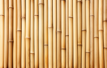 Fototapeta premium Row of bamboo trunks as a background