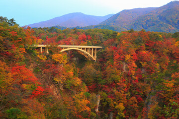 Autumn Leaves of Naruko Gorge, Japan,Miyagi prefecture,Osaki, Miyagi