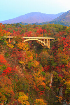 Autumn Leaves of Naruko Gorge, Japan,Miyagi prefecture,Osaki, Miyagi