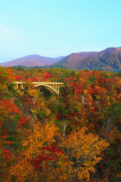 Autumn Leaves of Naruko Gorge, Japan,Miyagi prefecture,Osaki, Miyagi