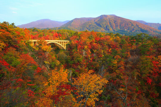 Autumn Leaves of Naruko Gorge, Japan,Miyagi prefecture,Osaki, Miyagi