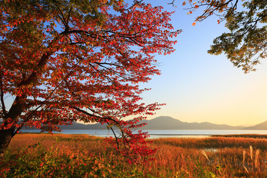 Autumn Leaves and Sunset at Lake Tazawa, Japan,Akita Prefecture,Semboku, Akita