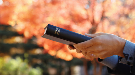 Red maple leaves, autumn, and a Christian who spreads the gospel and evangelizes by passing the...