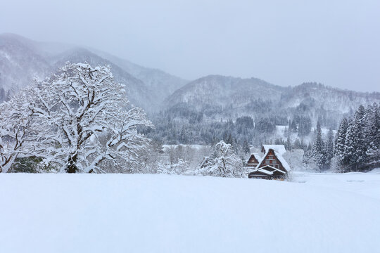 Shirakawa-go in winter, Japan,Gifu prefecture,Ono-gun,Shirakawa, Gifu (village)
