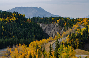 A Windy Road Kananaskis Country Alberta
