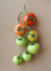 Red and green tomatoes