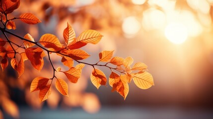 Naklejka na ściany i meble Autumn leaves on blurred background with bokeh effect, Generative AI