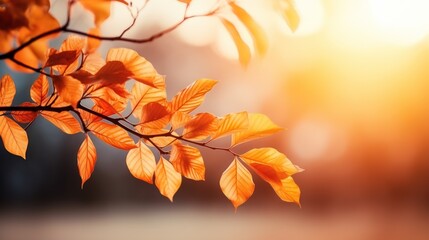 Naklejka na ściany i meble Autumn leaves on blurred background with bokeh effect, Generative AI