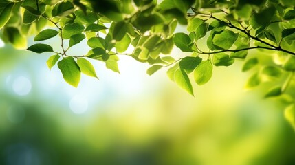 Fototapeta na wymiar Fresh green leaves on blurred greenery background with bokeh effect, Generative AI