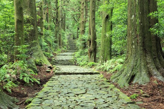 Kumano Ancient road Daimon slope, Japan,Wakayama Prefecture,Higashimuro District, Wakayama,Nachikatsuura, Wakayama