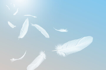 Abstract White Bird Feathers Floating in The Sky. Feathers Floating Concept in Heavenly. Freedom, Softness Plumage.