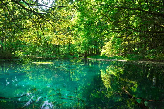 Maruike in fresh green, Japan,Yamagata Prefecture,Yuza, Yamagata