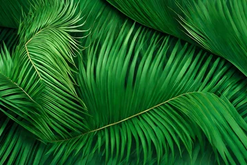 Fotobehang palm leaf texture 4k HD quality photo.  © AI artistic beauty