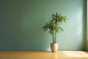 Fototapeta na wymiar a beautiful Tropical green leaf in ceramic potted on a Blank background for decoration in an empty room with a white floor. home interior design for minimalist style backlight Natural Shadow 