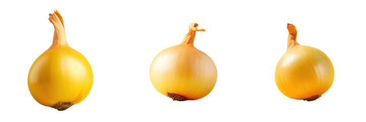 Yellow onion against transparent background