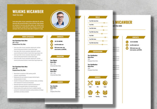 Modern Resume Design