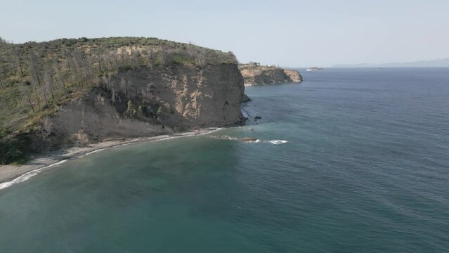 Aerial View of Beach with partly burned trees and Sea