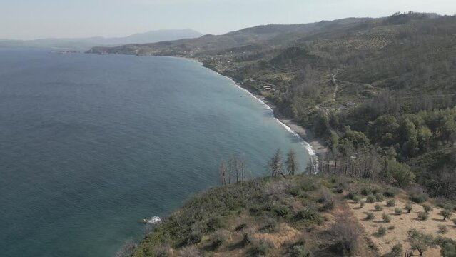 Aerial View of Beach with partly burned trees and Sea
