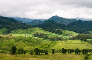 Fototapeta na wymiar Mountain landscape of plantation and distance mountains.