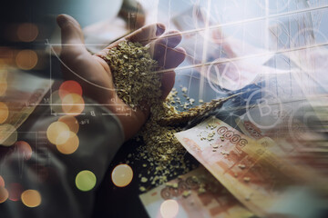 The concept of the cost of grain. 5000 ruble banknotes around a handful of ground grain. World...