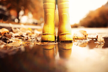 Kid standing on foliage . Legs of children in  boots standing in puddle with orange fallen leaves...