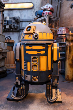 Droids at Disney's Star Wars: Galaxy's Edge Theme Park at Walt Disney World Resort in Orlando, Florida, Batuu East
