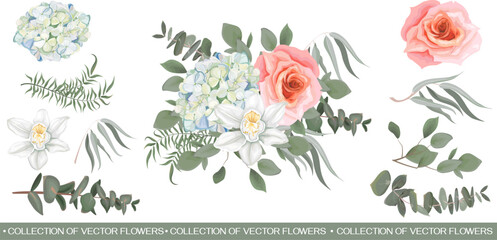 Vector flower arrangement. White hydrangea, orchid, pink rose, eucalyptus, different leaves and plants. All elements of the composition are isolated on a white background . Vector illustration
