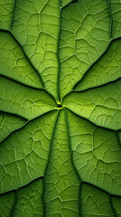 A micro green leaf background