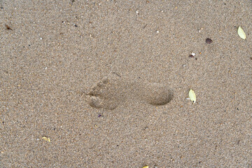 close-up shot of human footstep on the sandy beach. Minimalistic. Conceptualizes solitude, travel,...