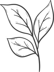 Hand drawn autumn leaves outline decoration