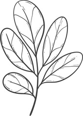 Hand drawn autumn leaves outline decoration