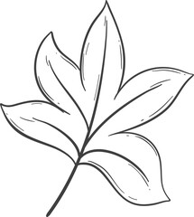 Hand drawn autumn leaves outline decoration