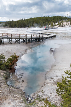 Natural hot spring pools next to wooden walkways in Yellowstone NP