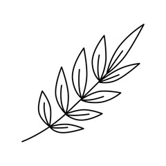 Fototapeta na wymiar Leaf fall icon vector on trendy design