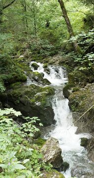 The Schiffbach in Upper Bavaria flows noisily in cascades between rocks and dense vegetation of Alpine forest from Rottachalm to Sibli-Waterfall, Rottach-Waterfall and Rottach river
