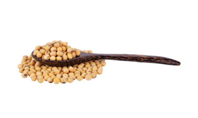 soy beans transparent png
